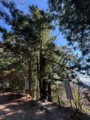 玉置神社(奈良県)