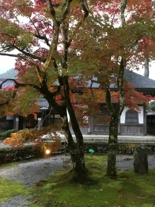 永源寺の{uncategorized: "未分類", other: "その他", undefined: "問題あり", building: "その他建物", grave: "お墓", sacred_gate: "鳥居", guardian: "狛犬", statue: "像", buddha: "仏像", history: "歴史", nature: "自然", garden: "庭園", animal: "動物", pagoda: "塔", temizu: "手水舎", mountain_gate: "山門・神門", sanctuary: "本殿・本堂", subordinate: "末社・摂社", art: "芸術", scenery: "景色", jizo: "地蔵", ema: "絵馬", goshuin: "御朱印", omikuji: "おみくじ", items: "授与品その他", amulet: "お守り", goshuincho: "御朱印帳", eats: "食事", festival: "お祭り", votive_dance: "神楽", shichigosan: "七五三参", wedding: "結婚式", experience: "体験その他", initially: "初詣", around: "周辺", anti_infection: "感染症対策"}