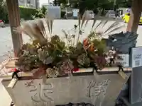 大歳神社(静岡県)