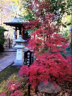 熊野神社(東京都)