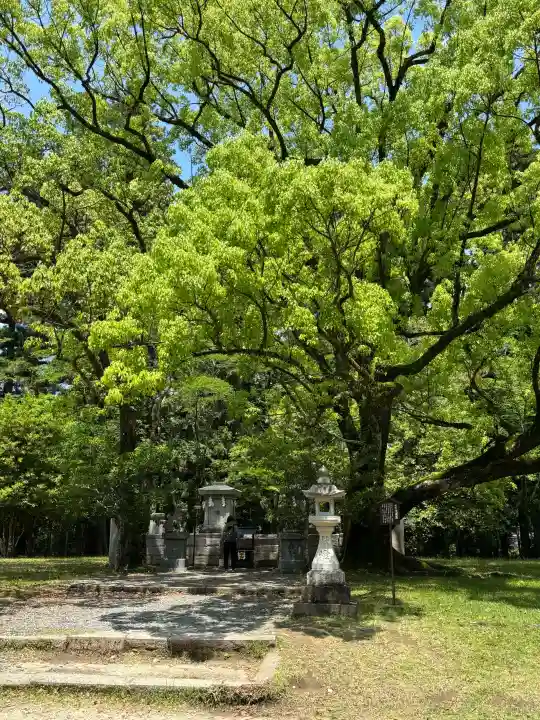 熊野本宮大社の{uncategorized: "未分類", other: "その他", undefined: "問題あり", building: "その他建物", grave: "お墓", sacred_gate: "鳥居", guardian: "狛犬", statue: "像", buddha: "仏像", history: "歴史", nature: "自然", garden: "庭園", animal: "動物", pagoda: "塔", temizu: "手水舎", mountain_gate: "山門・神門", sanctuary: "本殿・本堂", subordinate: "末社・摂社", art: "芸術", scenery: "景色", jizo: "地蔵", ema: "絵馬", goshuin: "御朱印", omikuji: "おみくじ", items: "授与品その他", amulet: "お守り", goshuincho: "御朱印帳", eats: "食事", festival: "お祭り", votive_dance: "神楽", shichigosan: "七五三参", wedding: "結婚式", experience: "体験その他", initially: "初詣", around: "周辺", anti_infection: "感染症対策"}