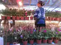 真源寺(入谷鬼子母神)のお祭り