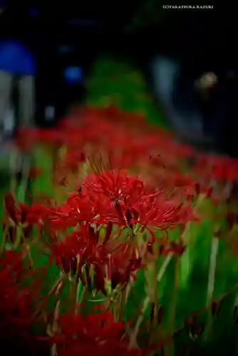 横浜　西方寺(神奈川県)