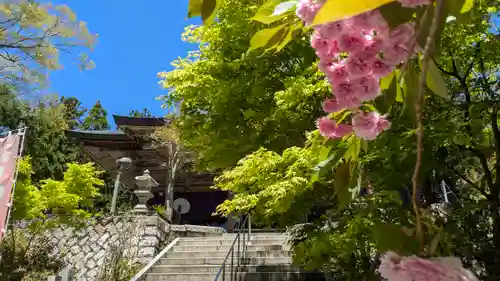 成相寺(京都府)