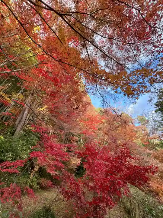 教林坊(滋賀県)