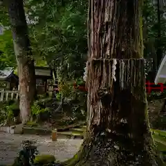 八大神社の自然