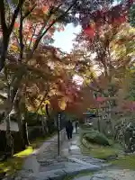 金剛輪寺(滋賀県)