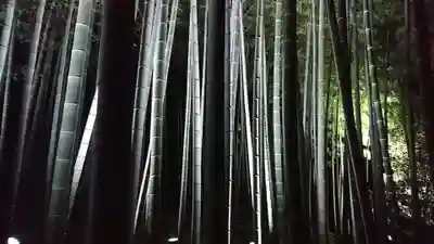 青蓮院門跡(京都府)