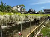 地福寺(徳島県)