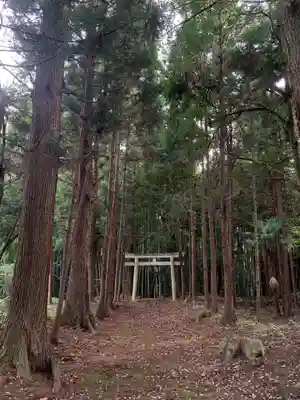 神明神社(千葉県)