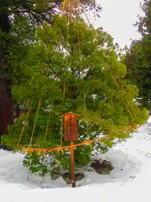 北海道神宮(北海道)