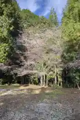 道慈山観音寺(愛知県)