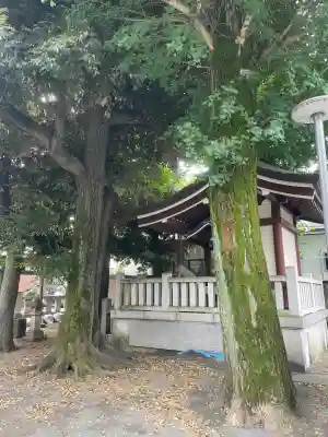 天神社(東京都)