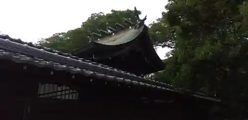 菊田神社の本殿・本堂
