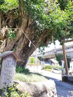 五所神社(神奈川県)