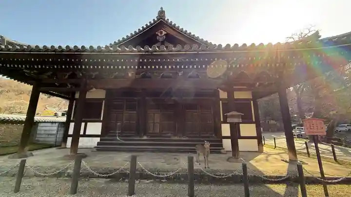 東大寺(奈良県)