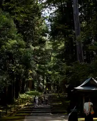 平泉寺白山神社(福井県)