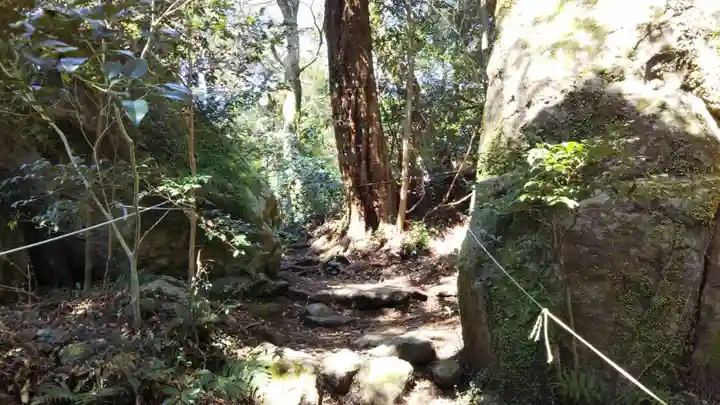 阿波々神社の自然