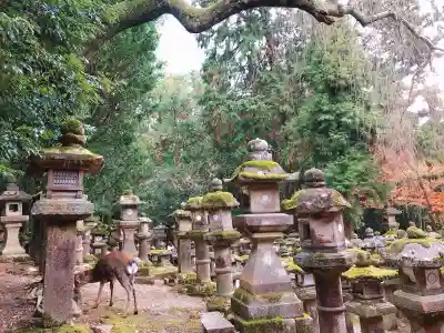 春日大社(奈良県)