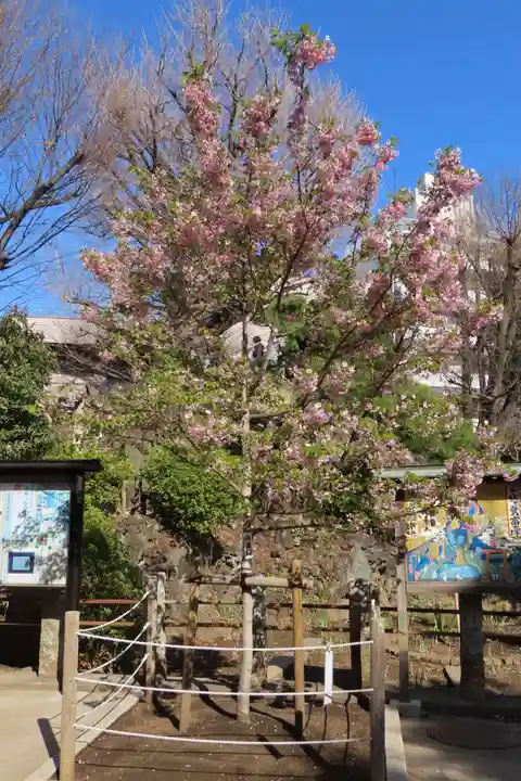 鳩森八幡神社(東京都)