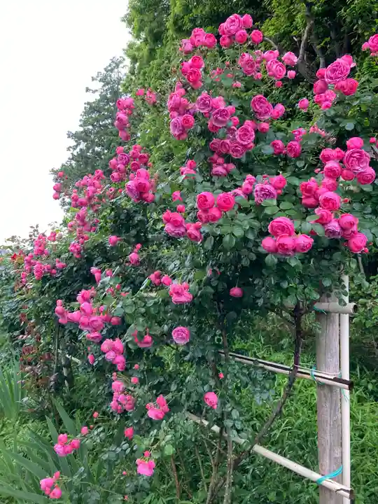 艫神社(茨城県)