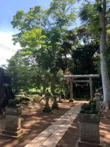 日枝大神の鳥居