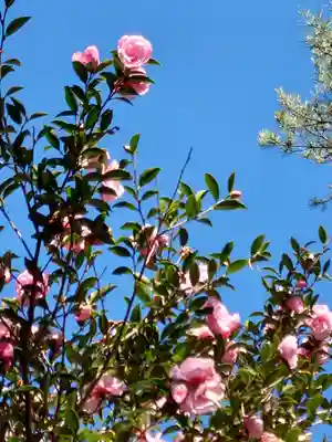 六甲比命大善神社の自然