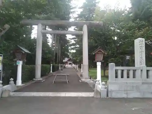 富良野神社の鳥居