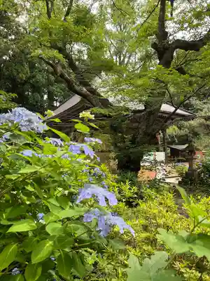 西光寺(宮城県)