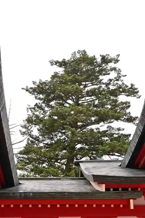 赤城神社(群馬県)