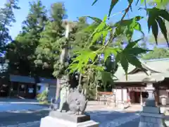 國魂神社の自然