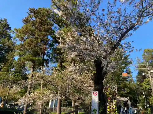 円覚寺の{uncategorized: "未分類", other: "その他", undefined: "問題あり", building: "その他建物", grave: "お墓", sacred_gate: "鳥居", guardian: "狛犬", statue: "像", buddha: "仏像", history: "歴史", nature: "自然", garden: "庭園", animal: "動物", pagoda: "塔", temizu: "手水舎", mountain_gate: "山門・神門", sanctuary: "本殿・本堂", subordinate: "末社・摂社", art: "芸術", scenery: "景色", jizo: "地蔵", ema: "絵馬", goshuin: "御朱印", omikuji: "おみくじ", items: "授与品その他", amulet: "お守り", goshuincho: "御朱印帳", eats: "食事", festival: "お祭り", votive_dance: "神楽", shichigosan: "七五三参", wedding: "結婚式", experience: "体験その他", initially: "初詣", around: "周辺", anti_infection: "感染症対策"}