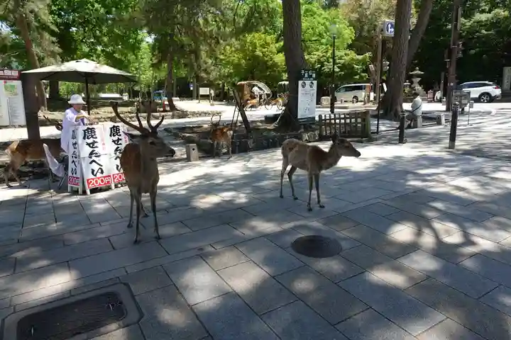 東大寺戒壇院千手堂(奈良県)