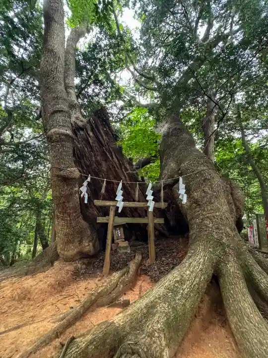 住吉神社(山口県)