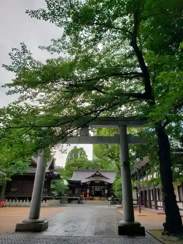 熊野神社の鳥居