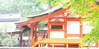 出雲大神宮の本殿・本堂