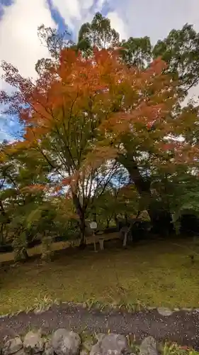 十輪寺(京都府)