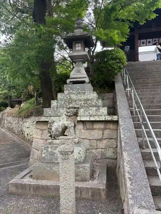阿智神社の{uncategorized: "未分類", other: "その他", undefined: "問題あり", building: "その他建物", grave: "お墓", sacred_gate: "鳥居", guardian: "狛犬", statue: "像", buddha: "仏像", history: "歴史", nature: "自然", garden: "庭園", animal: "動物", pagoda: "塔", temizu: "手水舎", mountain_gate: "山門・神門", sanctuary: "本殿・本堂", subordinate: "末社・摂社", art: "芸術", scenery: "景色", jizo: "地蔵", ema: "絵馬", goshuin: "御朱印", omikuji: "おみくじ", items: "授与品その他", amulet: "お守り", goshuincho: "御朱印帳", eats: "食事", festival: "お祭り", votive_dance: "神楽", shichigosan: "七五三参", wedding: "結婚式", experience: "体験その他", initially: "初詣", around: "周辺", anti_infection: "感染症対策"}