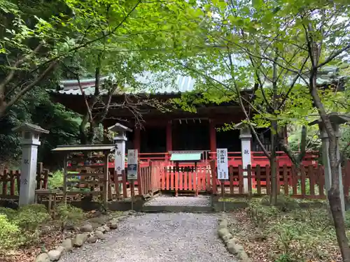 静岡浅間神社(静岡県)