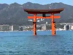 厳島神社(広島県)