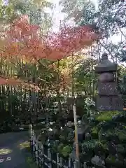 報国寺の庭園