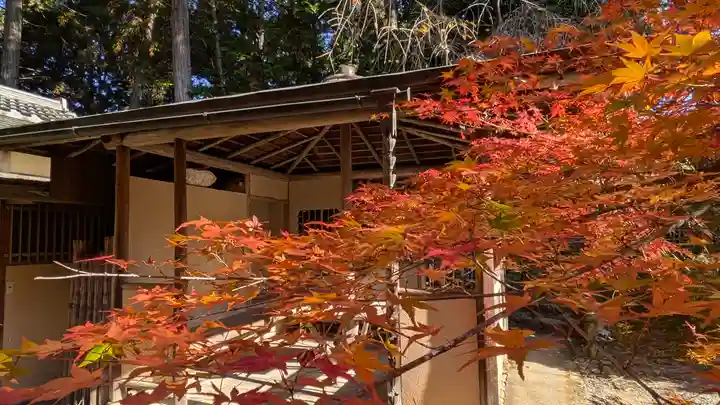 常照寺(京都府)