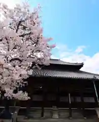 十輪寺の本殿