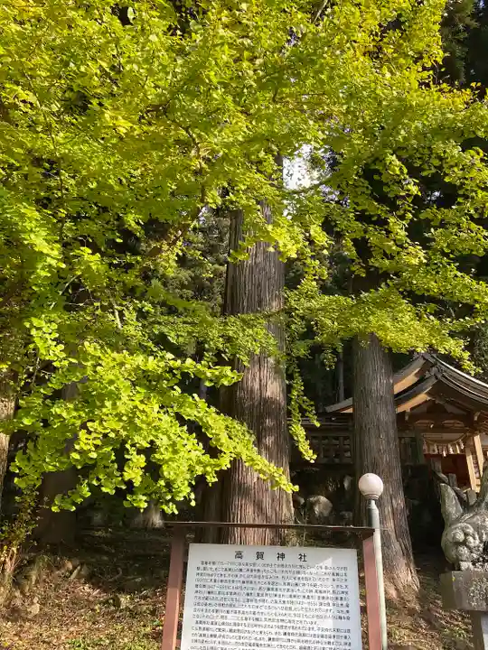 高賀神社(岐阜県)