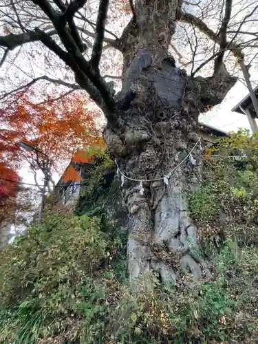 武蔵御嶽神社(東京都)