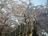 極楽山 浄土寺の仏像