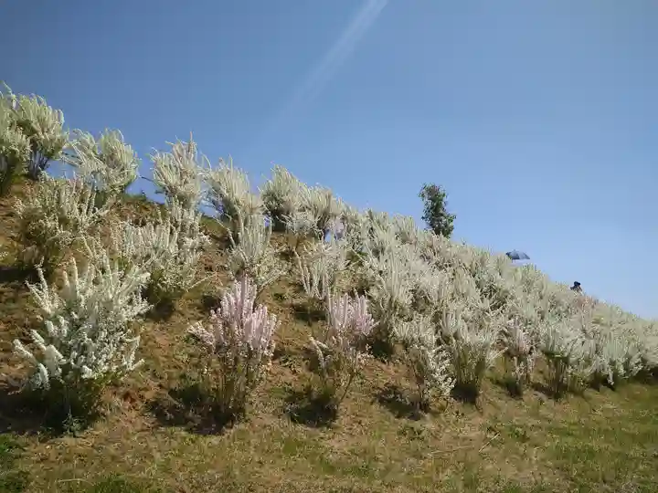 巳徳神社の周辺