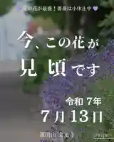 宝光寺(北海道)