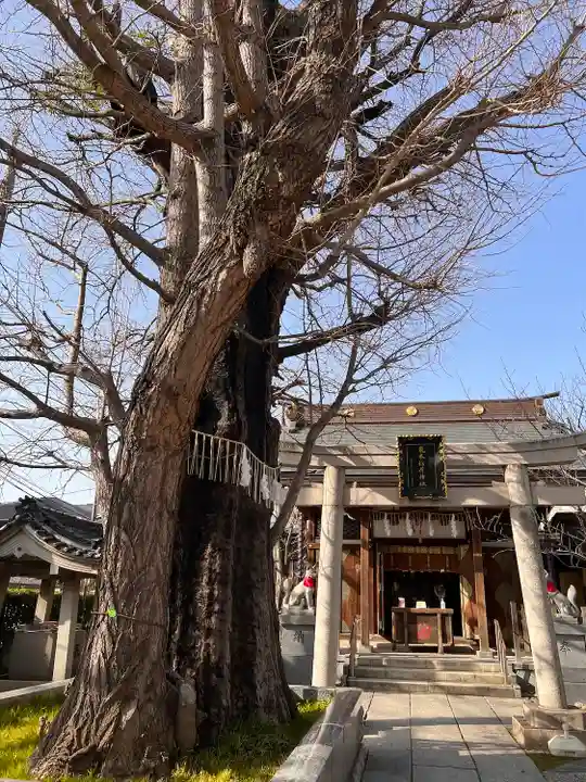 飛木稲荷神社の鳥居