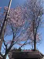 新川皇大神社(北海道)